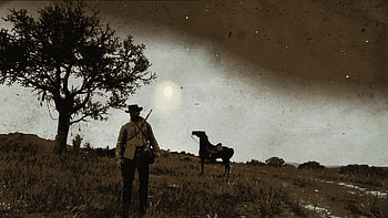 Red Dead Redemption 2, nature, horse, video game, Red Dead Redemption 2 HD wallpaper