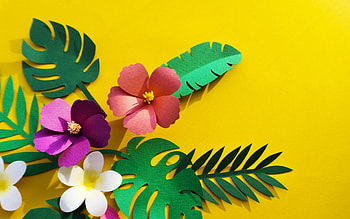 Flowers, exotic, paper, summer, pink, green, yellow, flower, texture, leaf, card, vara HD wallpaper