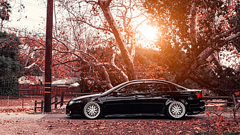 TSX, Acura HD wallpaper