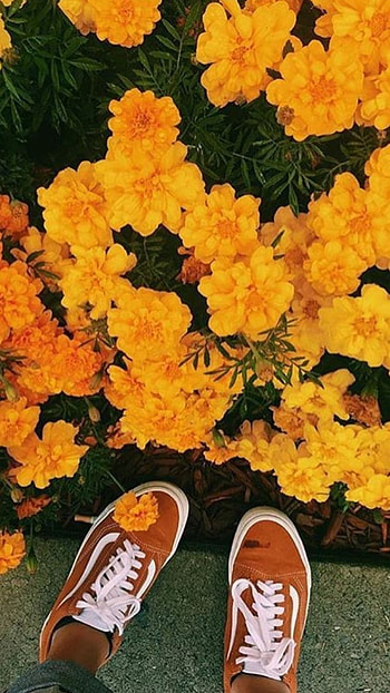 Yellow Aesthetic, Yellow Aesthetic Flowers HD phone wallpaper
