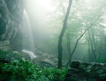 Waterfall, fog, beautiful, rain HD wallpaper