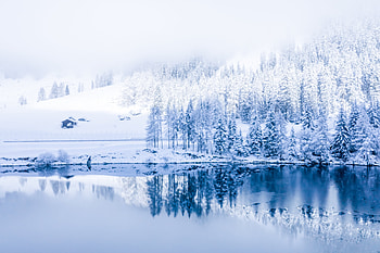 Winter Serenity: Snowy Nature Reflection, snow, nature, winter HD wallpaper