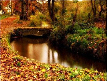 FLOW ALONG GENTLE RIVER, river, gentle HD wallpaper