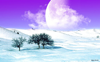 Winter Fantasy Landscape, frost, nieve, landscape, hielo, fantasia, moon, fantasy, kokyn, snow, trees, luna, paisaje HD wallpaper