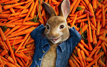 Peter rabbit, 2018, animation movie HD wallpaper