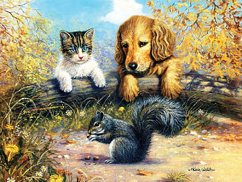 Watching Carefully, dog, black, squirreal, puzzle, cat, jigsaw HD wallpaper
