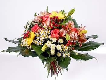 Plants, Flowers, Bouquets HD wallpaper