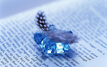 Background, Feather HD wallpaper