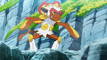 Best moveset, Infernape, Pokemon GO news HD wallpaper