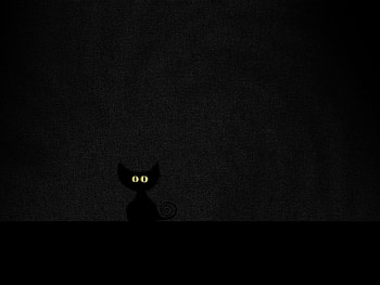 Cats HD wallpaper