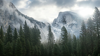 Yosemite, Forests HD wallpaper