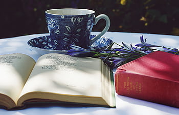 A peaceful outdoor scene with a teacup, open book, and flowers on a table, basking in sunlight. HD wallpaper