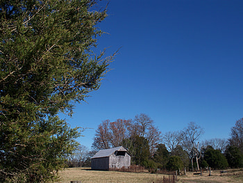 Barn, trees, sky, field HD wallpaper