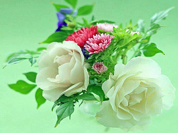 Colorful bouquet, blue, pink, bouquet, white roses, red, colors, nature, flowers HD wallpaper