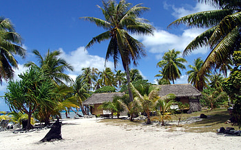 Landscape, Trees, Palms HD wallpaper