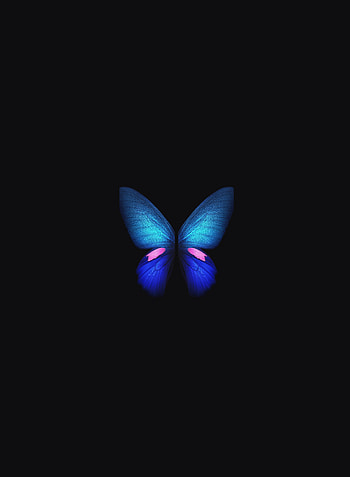 Samsung Galaxy Fold, Blue butterfly, minimal, art HD phone wallpaper