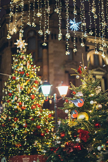Two beautifully decorated Christmas trees with sparkling lights in a festive outdoor setting. HD phone wallpaper