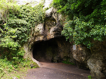 Nature, Mountains, Cave, Belgium, Grotto HD wallpaper