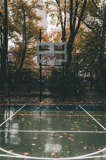 Sports, Autumn, Basketball, Playground, Platform, Basket, Basketball Court, Basketball Playground HD phone wallpaper