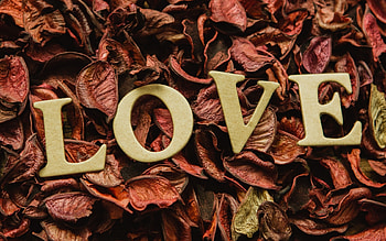 :-), golden, word, love, autumn, card, leaf HD wallpaper