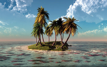 Landscape, Sea, Palms HD wallpaper