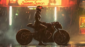 Confident Catwoman On Bike, catwoman, superheroes, artwork, art, digital-art HD wallpaper