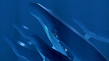 Video Game, Abzu, Ocean, Whale HD wallpaper