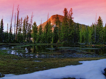 Pink sunset, field, nature, forest, lake, sunset, tree HD wallpaper