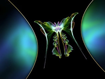 HOURGLASS BUTTERFLY, hourglass, butterfly HD wallpaper