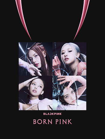 BLACKPINK PINK VENOM 1, Jisoo, jennie, lisa, rose, bornpink HD phone wallpaper