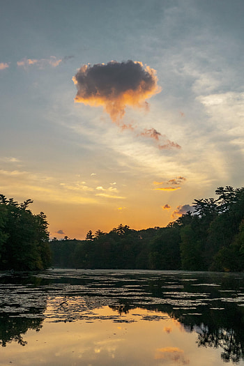 Nature, Rivers, Trees, Bush, Cloud HD phone wallpaper