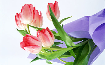 Pretty flower bouquet, still life, bouquet, pretty, flower, nature HD wallpaper