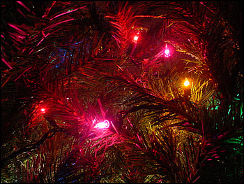 Sad little Christmas, night, holiday, light, christmas HD wallpaper