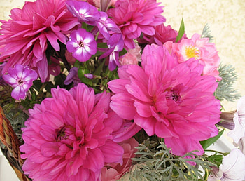 Flowers, Dahlias, Basket, Different HD wallpaper