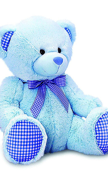 Teddy Wale, Sweet, Blue Teddy HD phone wallpaper