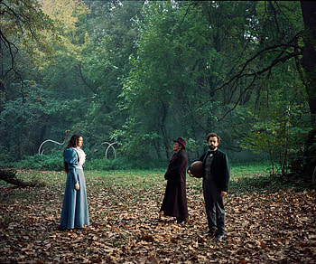 'Poor Things' Movie – Enigmatic Forest Scene, movie, Poor Things HD wallpaper