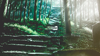Supreme, Products, Supreme (Brand) HD wallpaper