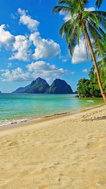 Beach Background, Beautiful, Beach HD phone wallpaper