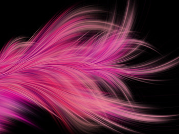 Pink Fractal Abstract Feather, feather, abstract, pink HD wallpaper