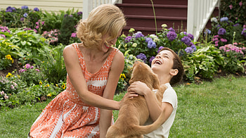 A Dog's Purpose, ultra , High quality , Emotional movie HD wallpaper