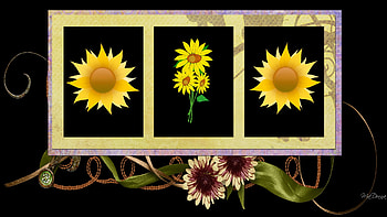 Suns Flowers, black, abstract, framed, fall, autumn, flowers HD wallpaper