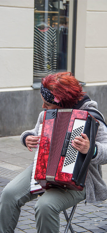 Accordion , Most popular accordion, Accordion backgrounds, Accordion HD phone wallpaper