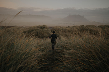 Grass, Miscellanea, Miscellaneous, Fog, Girl, Hat HD wallpaper