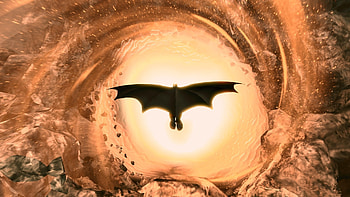 Batman, cape, dive, superhero HD wallpaper