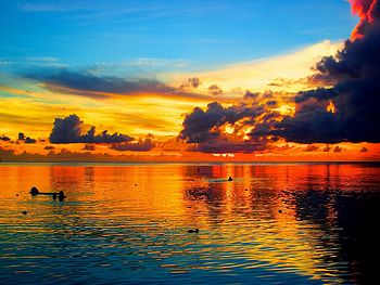 Ocean Sunset Palm Trees | Sea Sunset Palm Tree Guam HD wallpaper