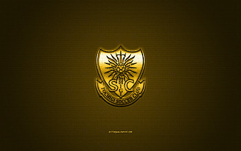 Tochigi SC, Japanese football club, yellow logo, yellow carbon fiber background, J2 League, football, Utsunomiya, Japan, Tochigi SC logo HD wallpaper
