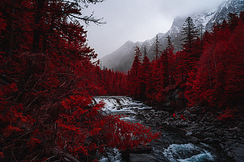 Landscape, Nature, Rivers, Trees, Mountains, Fog HD wallpaper