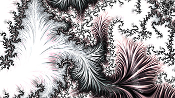 Trippy Psychedelic Fractal, black, white, Abstract, fractal, abstract black HD wallpaper