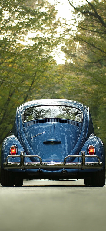 Beetle, Volkswagen HD phone wallpaper