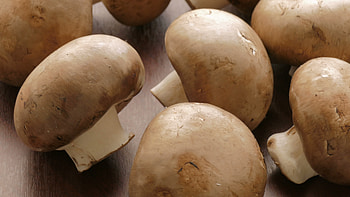 Raw mushroom footage, Stock video , Fresh and natural, Culinary inspiration HD wallpaper